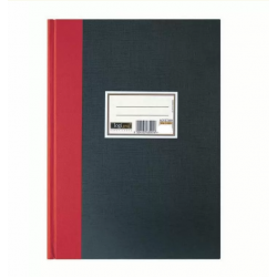 Φυλλάδα Λογιστική 25Χ35, 100 Φύλλα