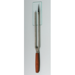 Διαπασών με πλάκα καταγραφής παλμικής κίνησης