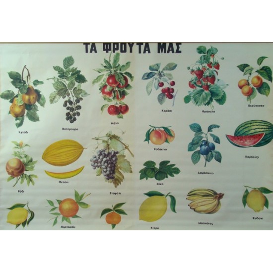 Φρούτα