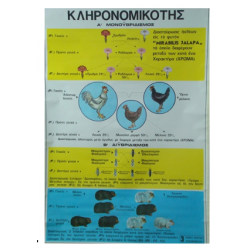 Κληρονομικότητα