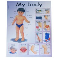 Next εκπαιδευτική αφίσα "Το σώμα μου" Αγγλικά 50x70εκ. Next εκπαιδευτική αφίσα "Το σώμα μου" Αγγλικά 50x70εκ.