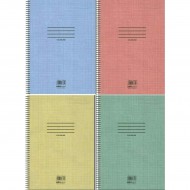 ΤΕΤΡΑΔΙΟ ΣΠΙΡΑΛ COLORLINE Α4 5 ΘΕΜ. (7860)