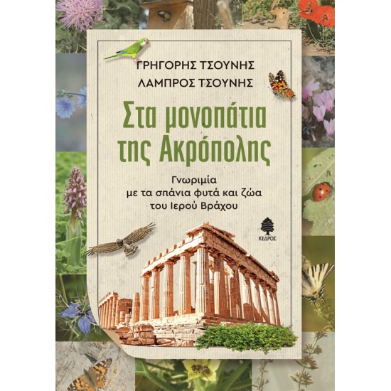 ΣΤΑ ΜΟΝΟΠΑΤΙΑ ΤΗΣ ΑΚΡΟΠΟΛΗΣ. Γνωριμία με τα σπάνια φυτά και ζώα του Ιερού Βράχου ΣΤΑ ΜΟΝΟΠΑΤΙΑ ΤΗΣ ΑΚΡΟΠΟΛΗΣ. Γνωριμία με τα σπάνια φυτά και ζώα του Ιερού Βράχου