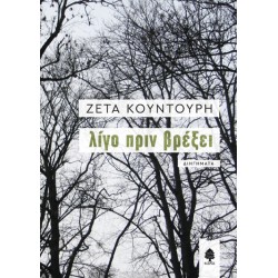 ΛΙΓΟ ΠΡΙΝ ΒΡΕΞΕΙ ΛΙΓΟ ΠΡΙΝ ΒΡΕΞΕΙ