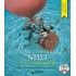 Το Μυστηριώδες Νησί