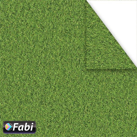 Χαρτόνι Fabi 50x70εκ Γρασίδι 1455007