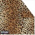 Χαρτόνι Fabi 50x70εκ Zoo Λεοπάρδαλη 1455029