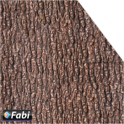 Χαρτόνι Fabi 50x70εκ Φλοιός Δέντρου 1455123