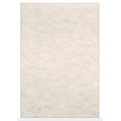 LAGUNA ΧΑΡΤΙ ΠΑΠΥΡΟΣ Α4 180gsm ΑΜΜΟΥ 125 ΦΥΛΛΑ LAGUNA ΧΑΡΤΙ ΠΑΠΥΡΟΣ Α4 180gsm ΑΜΜΟΥ 125 ΦΥΛΛΑ
