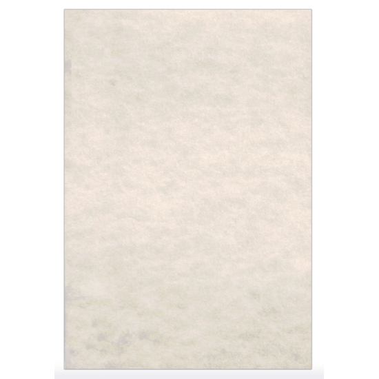 LAGUNA ΧΑΡΤΙ ΠΑΠΥΡΟΣ Α4 180gsm ΑΜΜΟΥ 125 ΦΥΛΛΑ