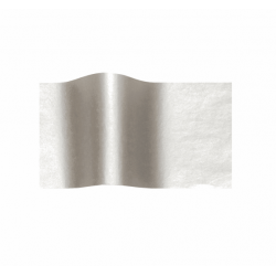 METRON ART ΧΑΡΤΟΝΙ 50x70cm 230gr ΑΣΗΜΙ ΜΕΤΑΛΛΙΚΟ METRON ART ΧΑΡΤΟΝΙ 50x70cm 230gr ΑΣΗΜΙ ΜΕΤΑΛΛΙΚΟ