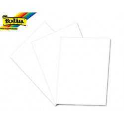 FOLIA ΧΑΡΤΟΝΙ Α4 220gr ΛΕΥΚΟ 100 ΦΥΛΛΑ FOLIA ΧΑΡΤΟΝΙ Α4 220gr ΛΕΥΚΟ 100 ΦΥΛΛΑ